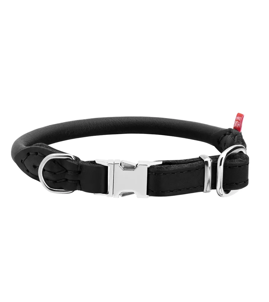 White background product photography of a black dog collar with a metal side-release buckle and red pull tab