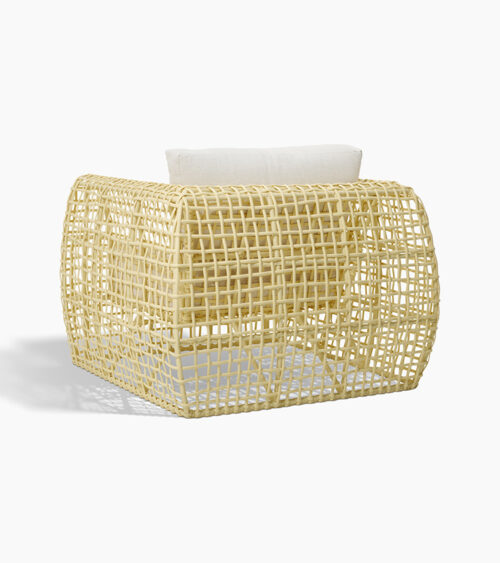 Furniture product photography of an open-weave rattan lounge chair, back view showing the woven frame.