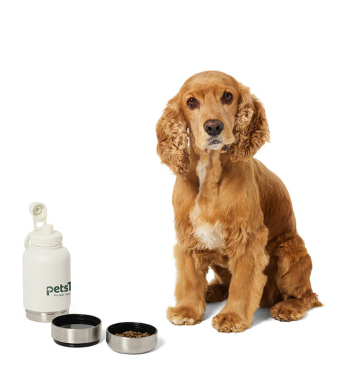 Lifestyle pet product photography of a travel water bottle and feeding bowls photographed with a cocker spaniel in studio.