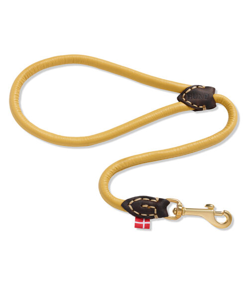 Pet product photography of a mustard rolled leather dog leash with a brass snap hook, styled in an S-curve on white.