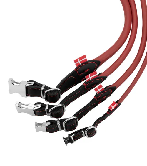 Fanned arrangement of red rolled leather dog leashes with black leather collars on white background, studio product photography