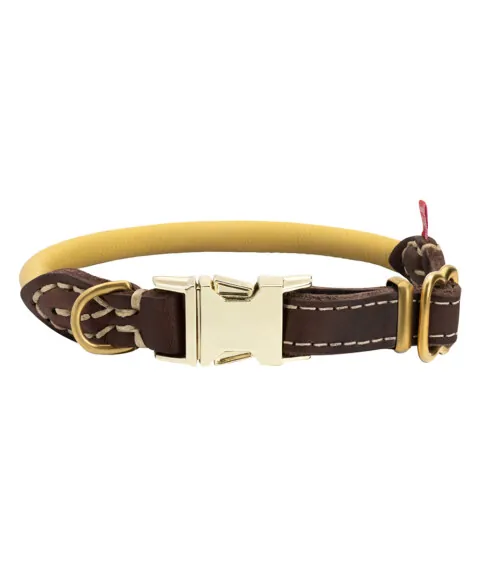 Tan rolled leather dog collar with gold buckle photographed on white background, pet product photography